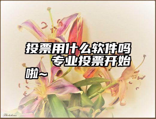 投票用什么软件吗   专业投票开始啦~