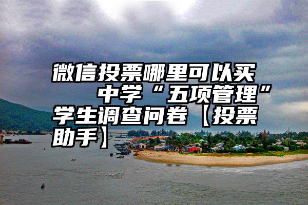 微信投票哪里可以买   中学“五项管理”学生调查问卷【投票助手】