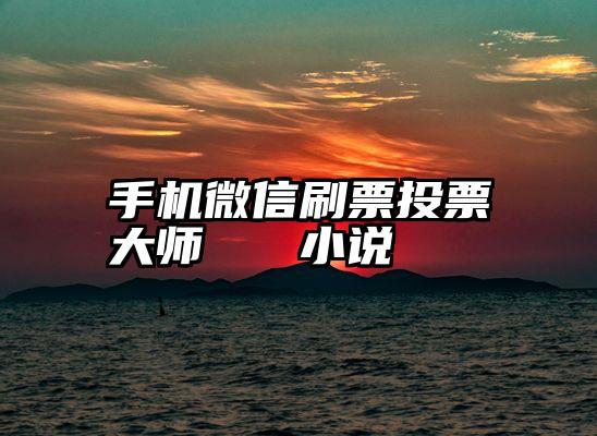 手机微信刷票投票大师   小说