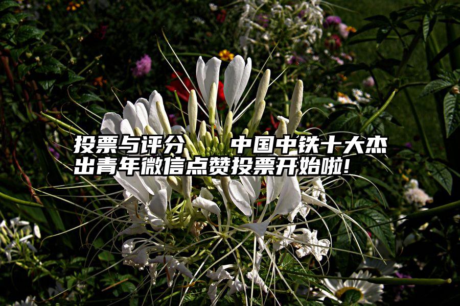 投票与评分   中国中铁十大杰出青年微信点赞投票开始啦!